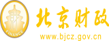 三洞齐插视频在线免费观看北京市财政局