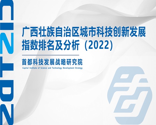 wwwcom超逼【成果发布】广西壮族自治区城市科技创新发展指数排名及分析（2022）